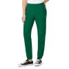 Pantaloni uniforma medicala, WonderWink PRO, 5719-HUNT L